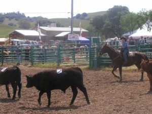 New Water Restriction On Fair Exhibitors