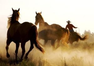 Sonora’s First Ever ‘Old West Fest’ This Saturday
