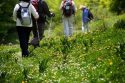 Outdoor hiking