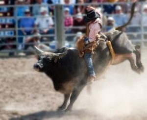 Rodeo Time In The Mother Lode
