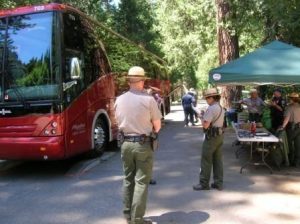 Buses Found In Violation