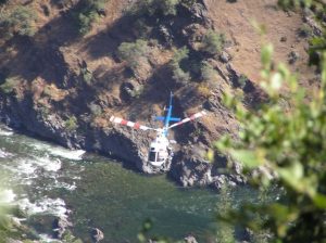 Fatal Car Accident Victim Identified