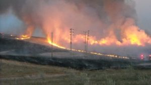 Damage From J-59 Grass Fires