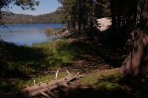 Forest Service Requiring Media Permit