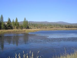 T.U.D. Hopes For Phoenix Lake Improvements