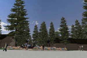 Big Donation For Big Trees