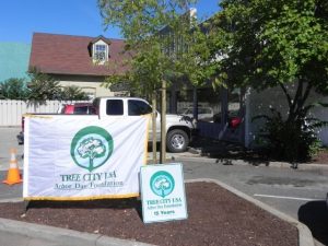 Proud To Be A Tree City USA
