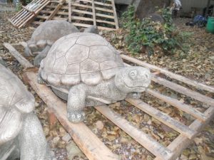 “Trent The Turtle” Stolen From Playground