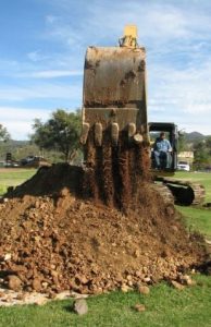 How to Improve Your Soil in Fall and Winter