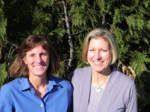 Focus On Stanislaus National Forest
