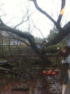 Winter Storm Update