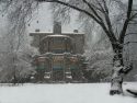 Snow In Yosemite