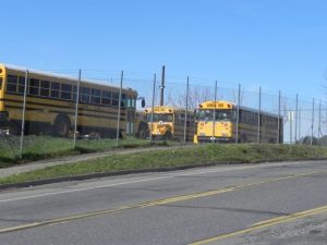 Greenley Road Construction