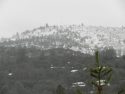 Snow on Sonora's Foothills