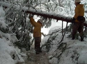 Cold Stops Sewer Repairs