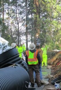 T.U.D. Lifts Conservation Request