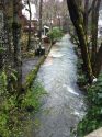 Murphy's Creek