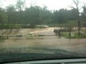 Flood Waters