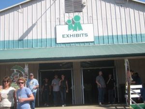 Frogtown’s Leap Into Energy Savings