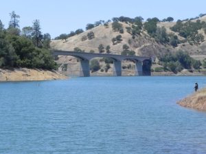Agencies Concerned About Salmon Decline