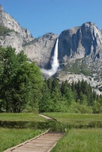 Latest Regarding Human And Lightning Sparked Yosemite fires