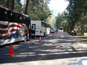 Surprise Bus Inspection At Yosemite