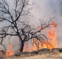 Copperopolis Fire