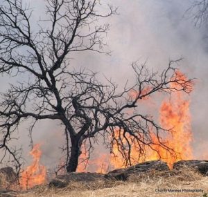 Copperopolis Fire