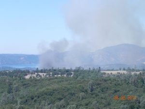 Vegetation Fire