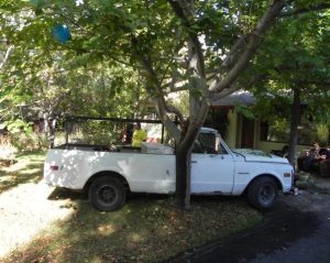 Truck Hits Tree