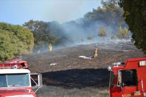 Crews Making Progress On Wards Ferry Fire