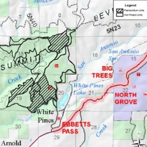 Irish Prescribed Burn Re-authorized