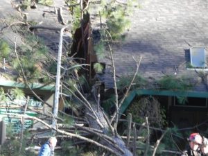 Windstorm Rocks Mother Lode