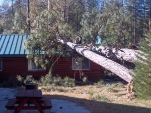 2012 Fire Season Nears