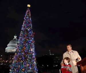 Tuolumne County Resident Witnessed Tree Lighting