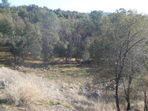 Big Plans Off Tuolumne Road