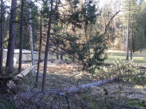 Wildfire Prevention Rules Toughen For State Utilities