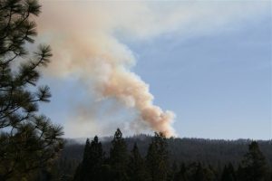 Groveland Vegetation Fire