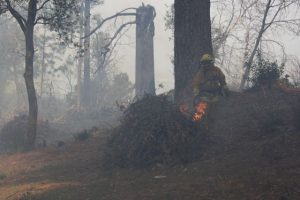 Yankee Hill Pile Burning