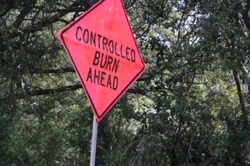 Monitored fire