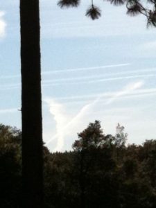 Fireball Spotted Across Two States