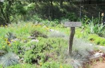 Demo Garden Rock Garden 2012