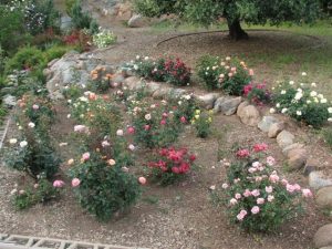 Water Saving Suggestions