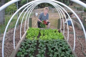 Who Are Master Gardeners?