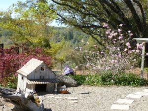 Controlling Garden Pests and Diseases of Spring