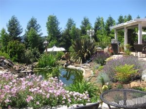 Reviewing Garden Priorities