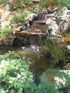 What Is a True Mountain Garden?