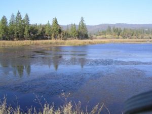 Excessive Heat Watch Issued For Mother Lode