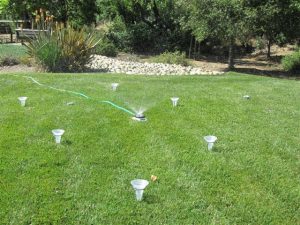 Improve Your Watering System With Drip Zones