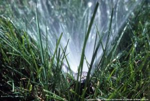 Californians Are Saving More Water